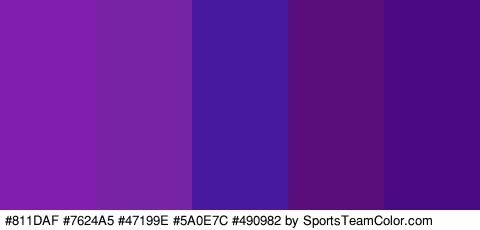 #811DAF #7624A5 #47199E #5A0E7C #490982 Colors