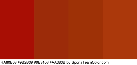 #A80E03 #9B2B09 #9E3106 #AA380B Colors