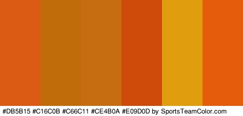 #DB5B15 #C16C0B #C66C11 #CE4B0A #E09D0D #E55C0D Colors