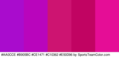 #AA0CCE #B905BC #CE1471 #C10362 #E50D96 Colors