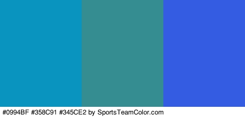 #0994BF #358C91 #345CE2 Colors