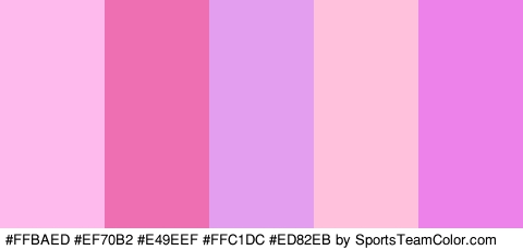 #FFBAED #EF70B2 #E49EEF #FFC1DC #ED82EB Colors