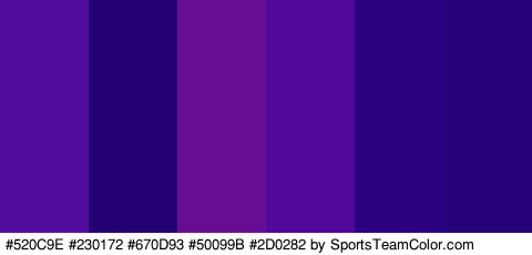 #520C9E #230172 #670D93 #50099B #2D0282 #27037A Colors