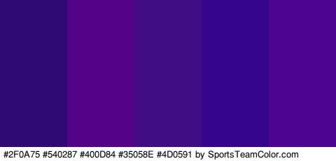 #2F0A75 #540287 #400D84 #35058E #4D0591 Colors