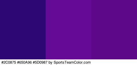 #2C0875 #650A96 #5D0987 Colors