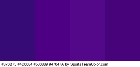 #370B75 #4D0084 #530889 #47047A Colors