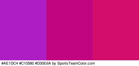 #AE1DC4 #C10580 #D30E6A Colors