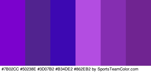 #7B02CC #50238E #3D07B2 #B34DE2 #862EB2 #702491 Colors