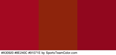 #A30920 #8E240C #91071E Colors