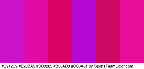 #C912C9 #E20BA5 #DD0265 #B50AD3 #CC0A61 #E80D98 Colors