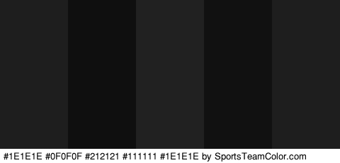 #1E1E1E #0F0F0F #212121 #111111 #1E1E1E Colors