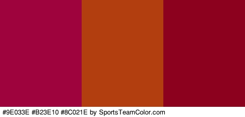 #9E033E #B23E10 #8C021E Colors