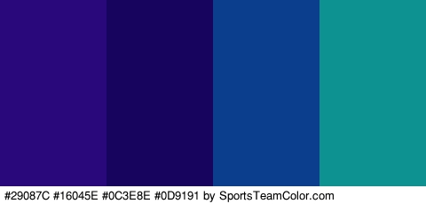 #29087C #16045E #0C3E8E #0D9191 Colors