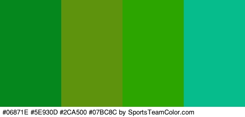 #06871E #5E930D #2CA500 #07BC8C Colors