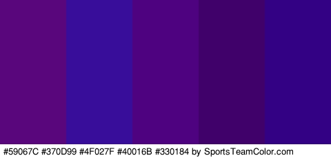 #59067C #370D99 #4F027F #40016B #330184 Colors