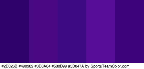 #2D026B #490982 #3D0A84 #580D99 #3D047A Colors