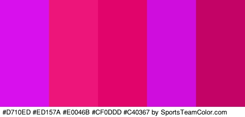 #D710ED #ED157A #E0046B #CF0DDD #C40367 Colors