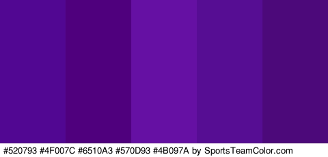 #520793 #4F007C #6510A3 #570D93 #4B097A Colors