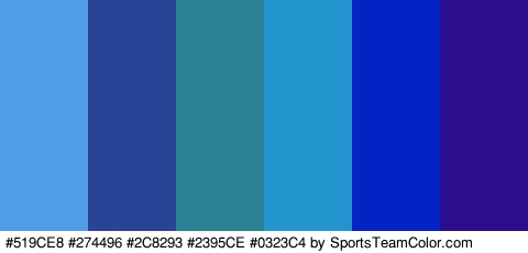 #519CE8 #274496 #2C8293 #2395CE #0323C4 #2A0E8E Colors