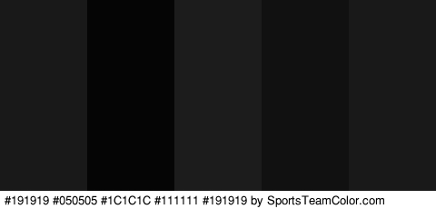 #191919 #050505 #1C1C1C #111111 #191919 Colors