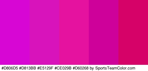 #D806D5 #D813BB #E5129F #CE029B #D60268 Colors