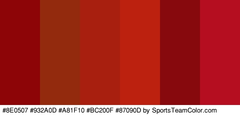 #8E0507 #932A0D #A81F10 #BC200F #87090D #B50E21 Colors