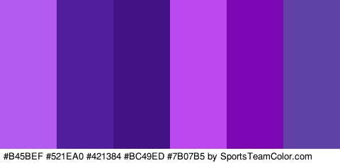 #B45BEF #521EA0 #421384 #BC49ED #7B07B5 #6143A8 Colors