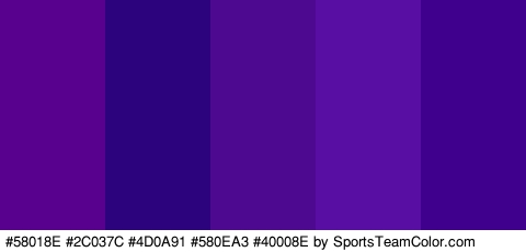 #58018E #2C037C #4D0A91 #580EA3 #40008E Colors