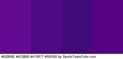 #630B8E #4C0B82 #410B77 #550282 Colors