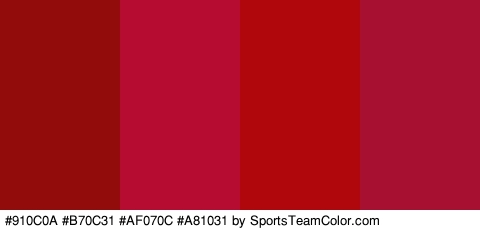 #910C0A #B70C31 #AF070C #A81031 Colors