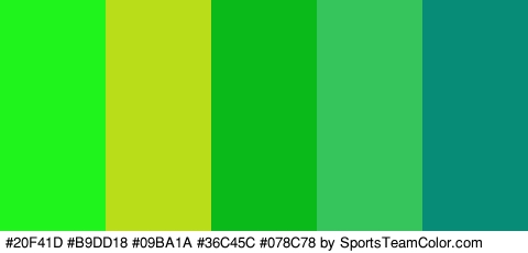 #20F41D #B9DD18 #09BA1A #36C45C #078C78 Colors