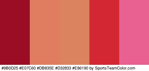 #9B0D25 #E07C60 #DB835E #D32833 #E86190 Colors