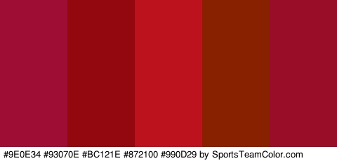 #9E0E34 #93070E #BC121E #872100 #990D29 Colors