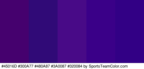 #45016D #300A77 #480A87 #3A0087 #320084 Colors