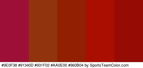 #9E0F38 #91340D #931F02 #AA0E00 #960B04 Colors