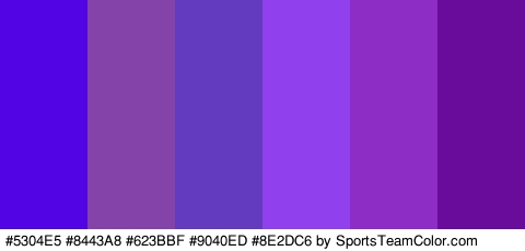 #5304E5 #8443A8 #623BBF #9040ED #8E2DC6 #690C9B Colors