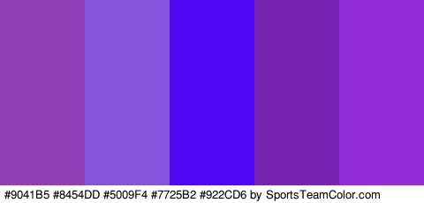 #9041B5 #8454DD #5009F4 #7725B2 #922CD6 Colors