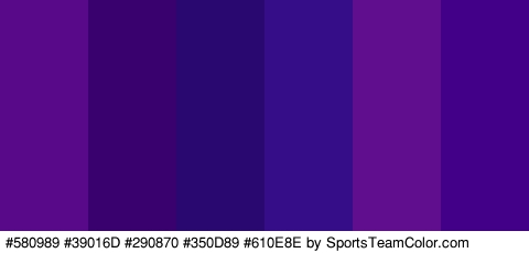 #580989 #39016D #290870 #350D89 #610E8E #410087 Colors