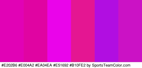 #E202B6 #E004A2 #EA04EA #E51692 #B10FE2 #CC12C5 Colors