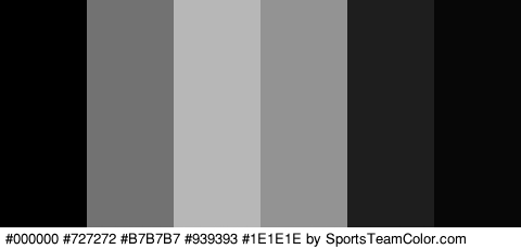 #000000 #727272 #B7B7B7 #939393 #1E1E1E #070707 Colors