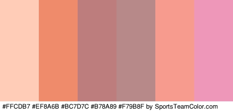 #FFCDB7 #EF8A6B #BC7D7C #B78A89 #F79B8F #EF97B9 Colors