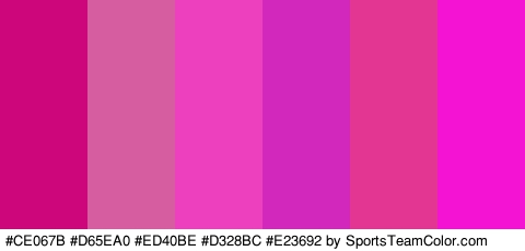 #CE067B #D65EA0 #ED40BE #D328BC #E23692 #F413D3 Colors