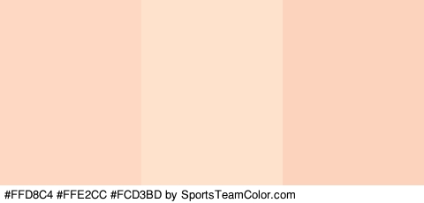 #FFD8C4 #FFE2CC #FCD3BD Colors