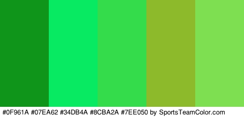 #0F961A #07EA62 #34DB4A #8CBA2A #7EE050 Colors