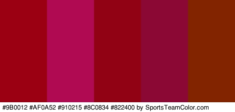 #9B0012 #AF0A52 #910215 #8C0834 #822400 Colors