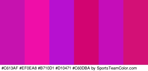 #C613AF #EF0EA8 #B710D1 #D10471 #C60DBA #D31075 Colors