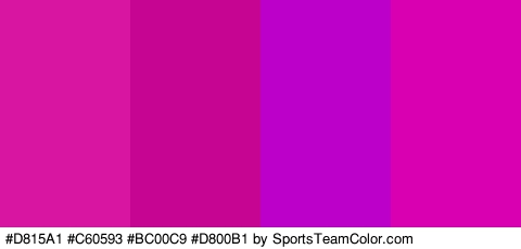 #D815A1 #C60593 #BC00C9 #D800B1 Colors