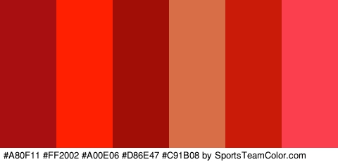 #A80F11 #FF2002 #A00E06 #D86E47 #C91B08 #FC3F4E Colors