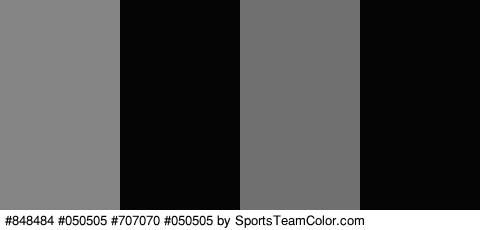 #848484 #050505 #707070 #050505 Colors