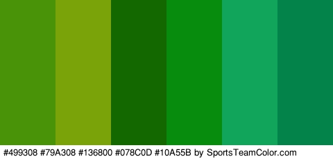 #499308 #79A308 #136800 #078C0D #10A55B #038249 Colors